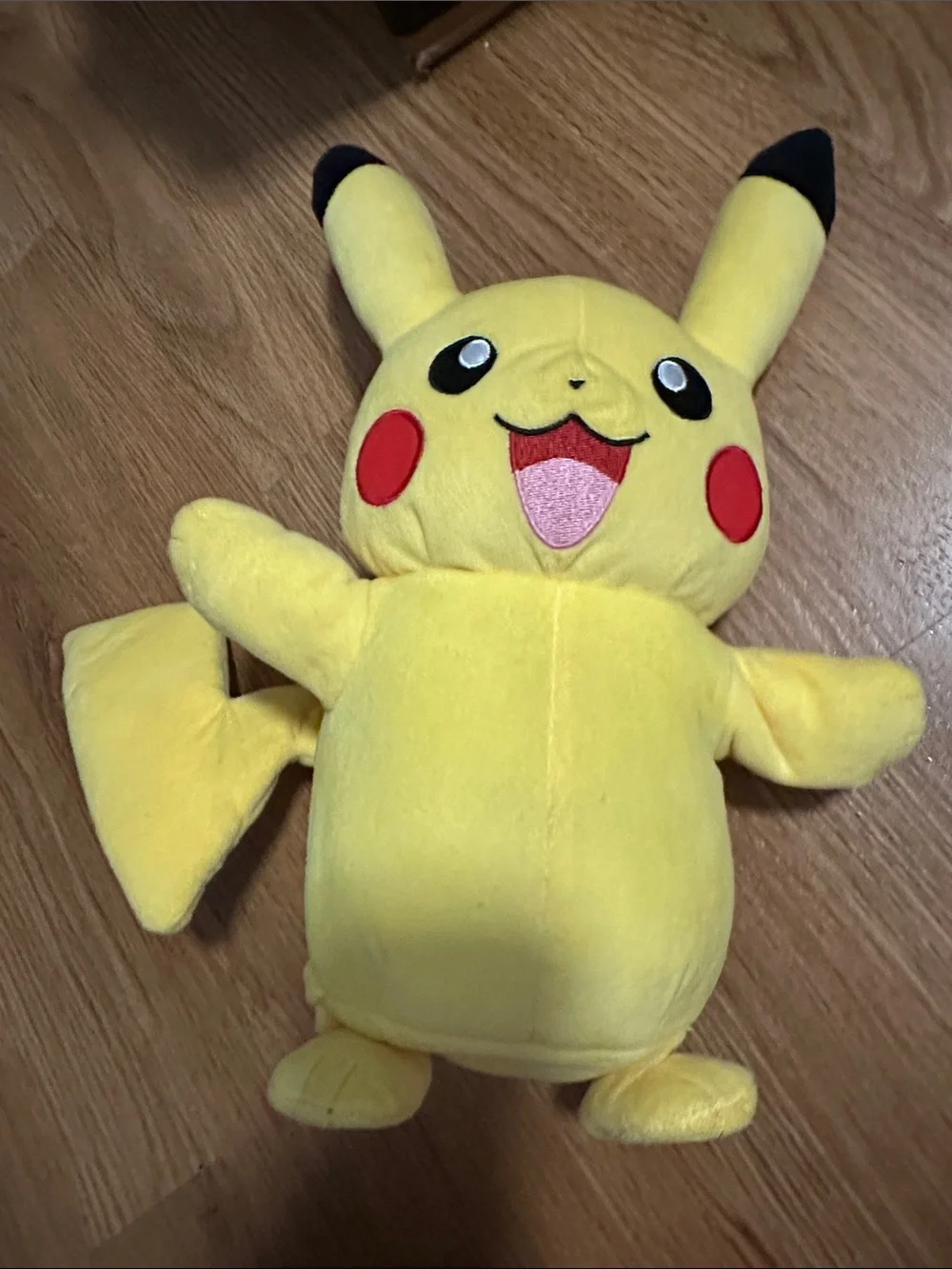 POKÉMON Electric Charge 13
